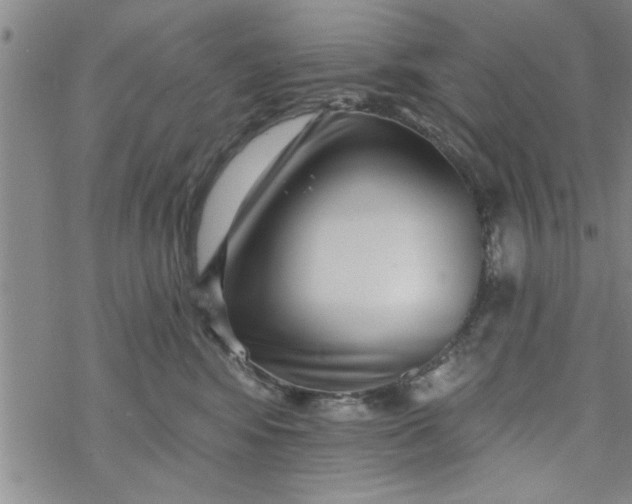 X0000069820424200606021316