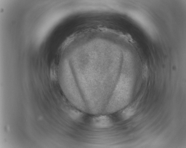 X0000069820431200606021316