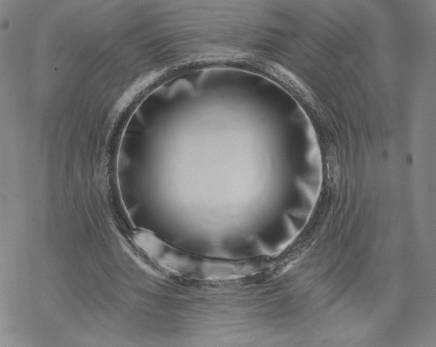X0000069820436200606021315