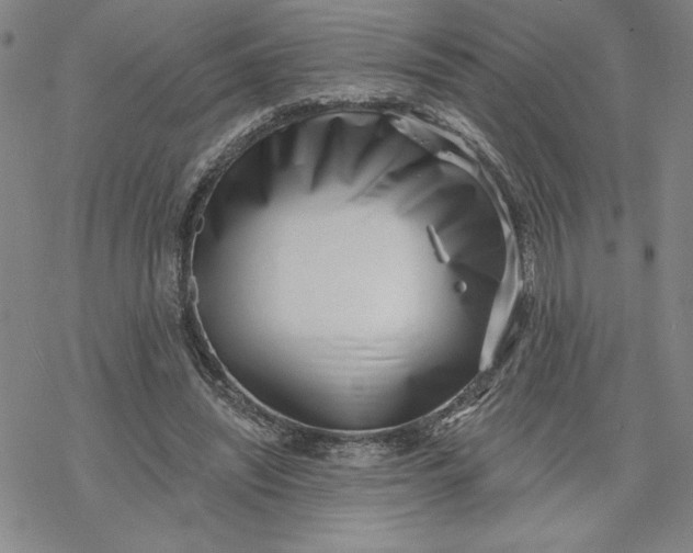 X0000069820444200606021315