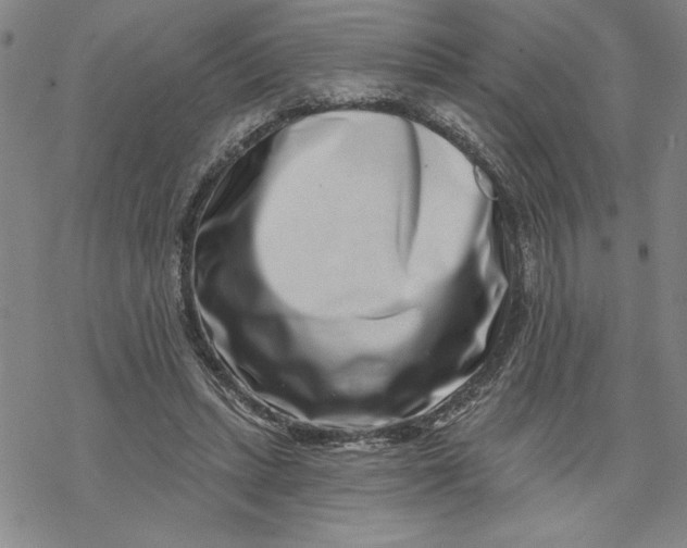 X0000069820447200606021315