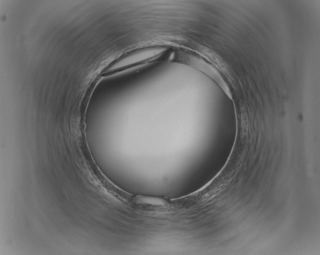 X0000069820485200606021315