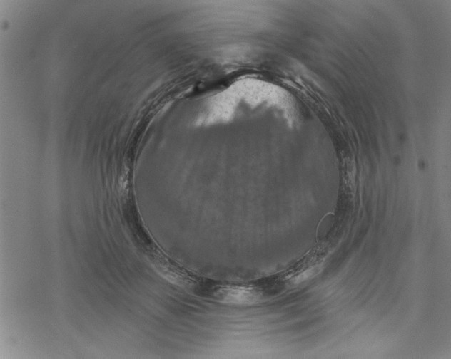 X0000069820507200606021315
