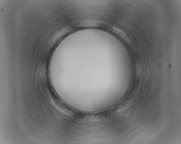 X0000069820538200606021314
