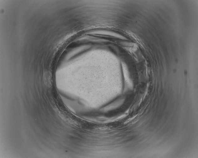 X0000069820540200606021314