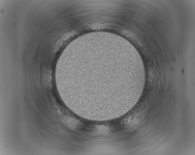 X0000069820592200606021313
