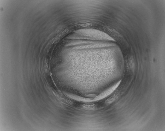 X0000069820606200606021313