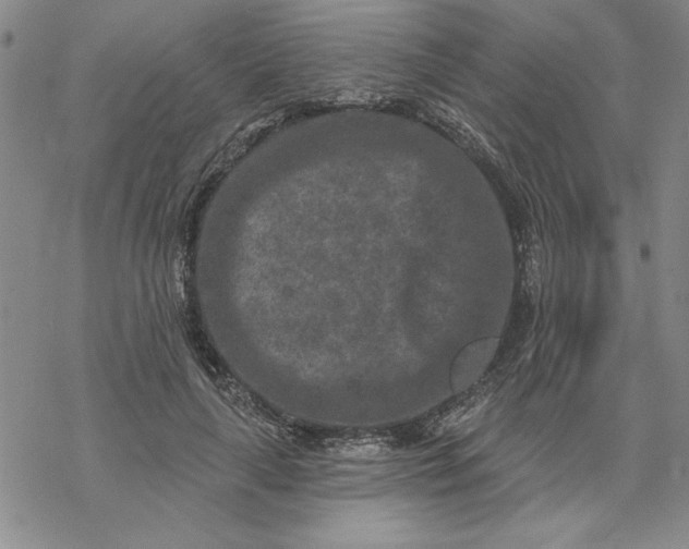 X0000069820643200606021312