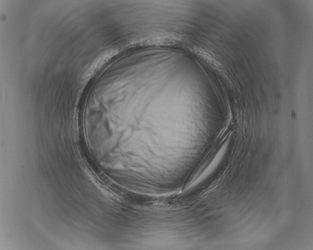 X0000069820678200606021312