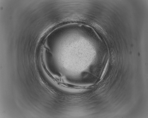 X0000069820680200606021312