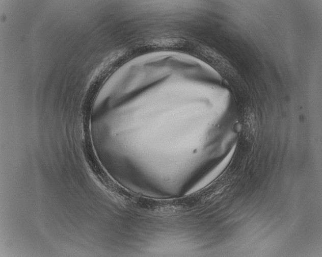 X0000069820734200606021310