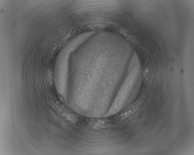 X0000069820772200606021310