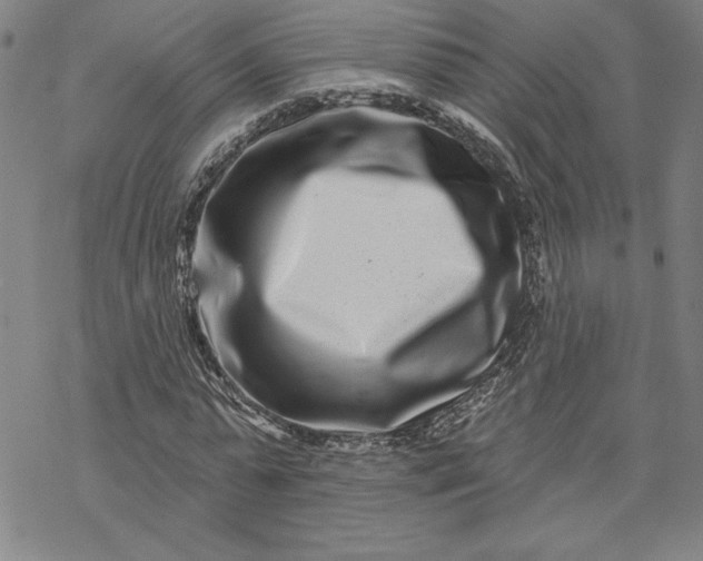 X0000069820775200606021310