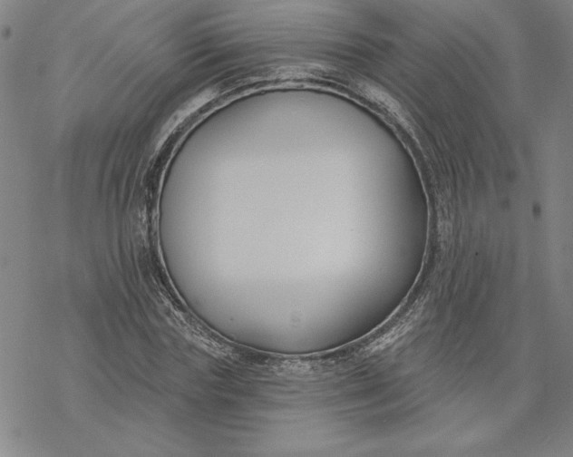 X0000069820827200606021309