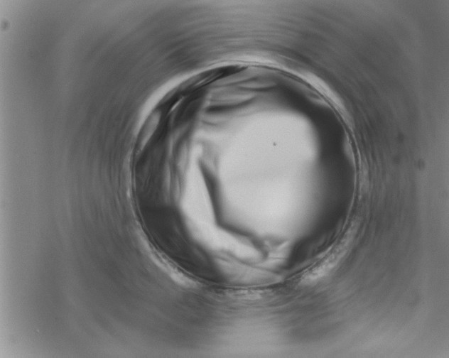 X0000069820862200606021309
