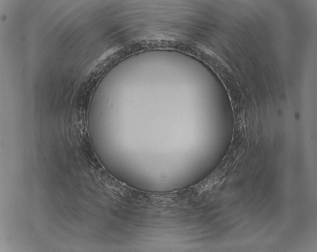 X0000069820870200606021309