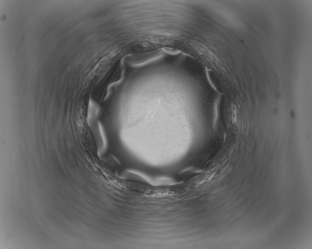 X0000069820915200606021307