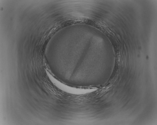 X0000069820916200606021307