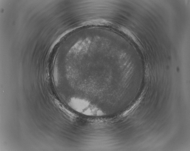 X0000069820923200606021307
