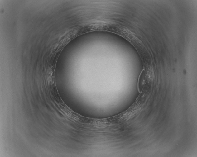 X0000069820964200606021307