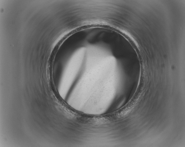 X0000069820983200606021307