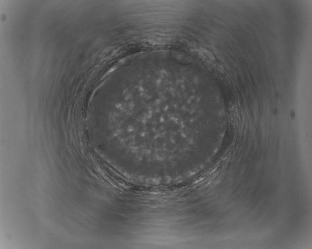 X0000069821009200606021306