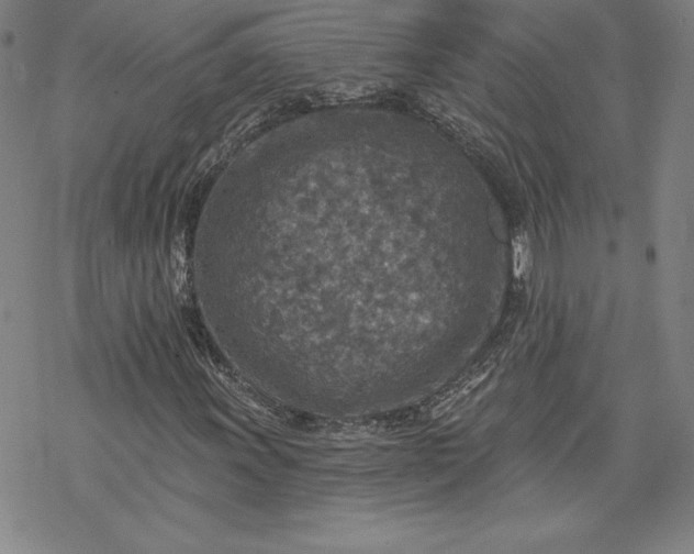 X0000069821011200606021306