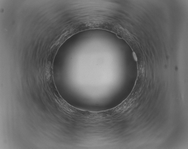 X0000069821012200606021306