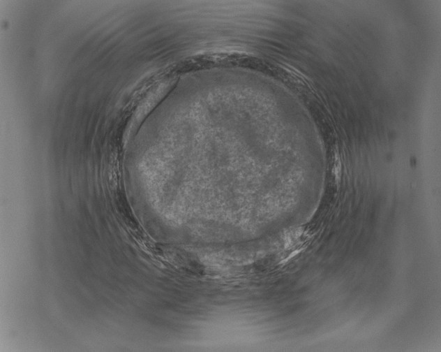 X0000069821014200606021306