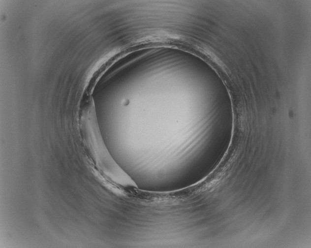X0000069821026200606021306