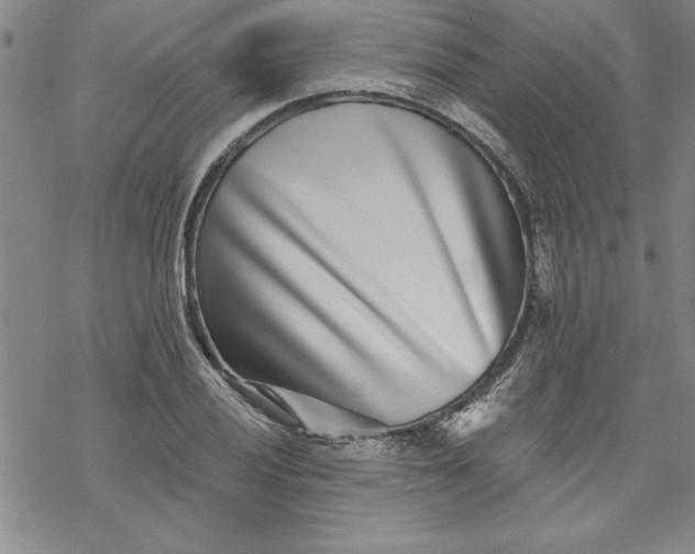 X0000069821028200606021306