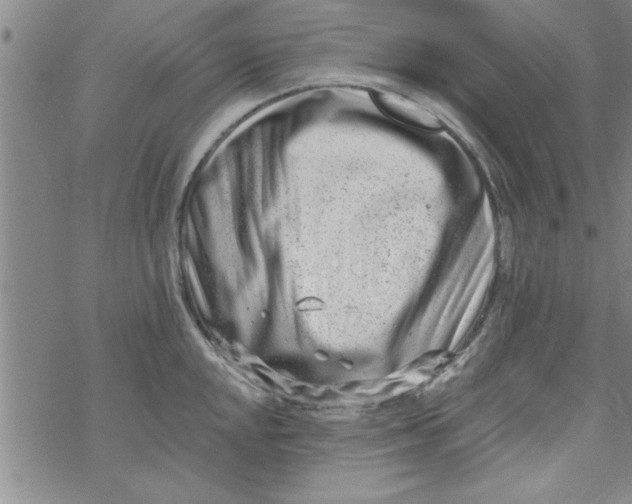 X0000069821048200606021306