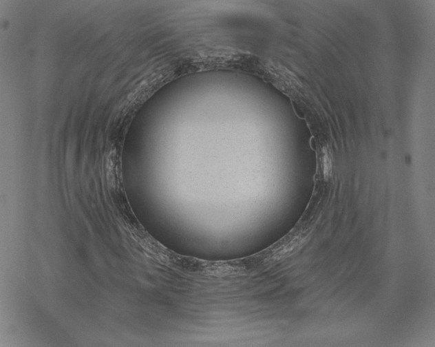 X0000069821059200606021306