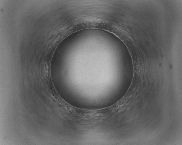 X0000069821061200606021306