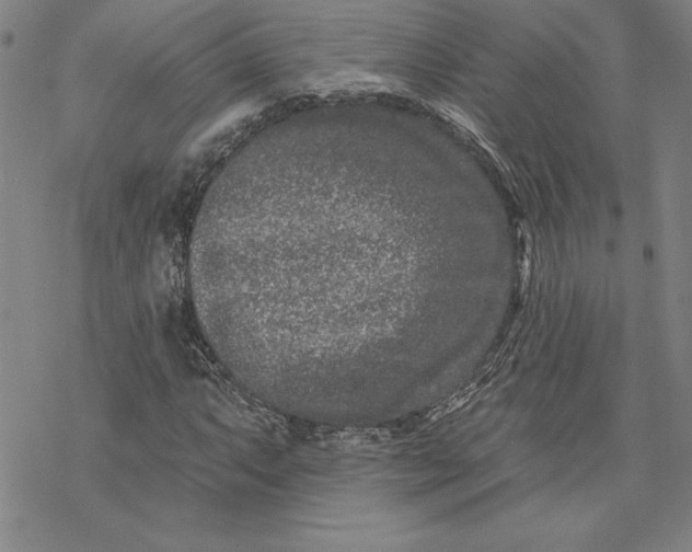 X0000069821063200606021306