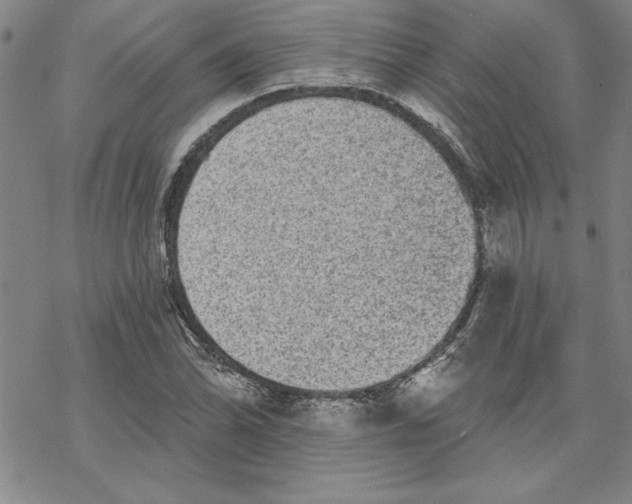X0000069821070200606021305