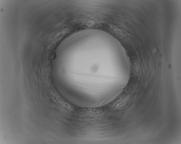 X0000069821105200606021304