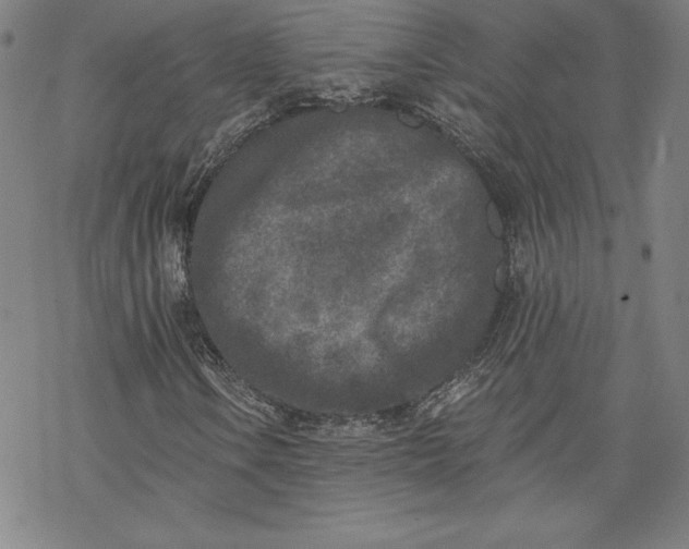 X0000069821106200606021304
