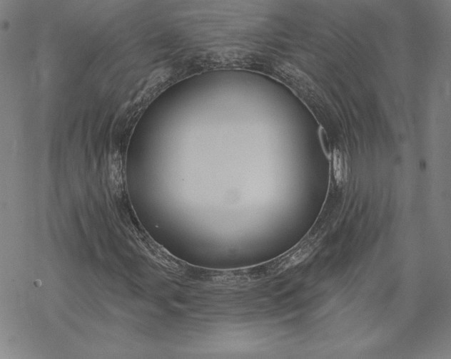 X0000069821107200606021304