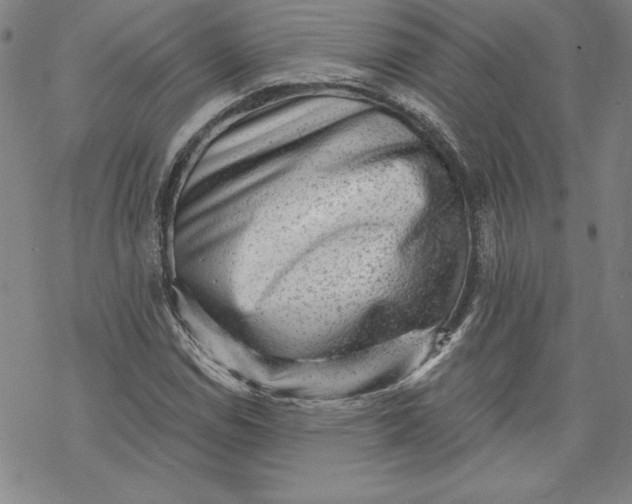 X0000069821114200606021304
