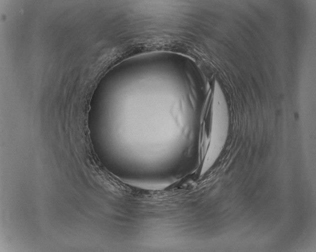 X0000069821153200606021304