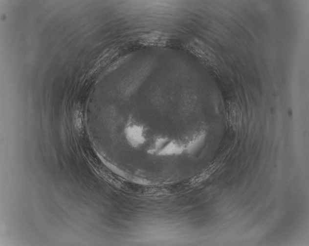 X0000069821154200606021304