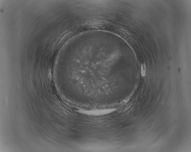 X0000069821155200606021304