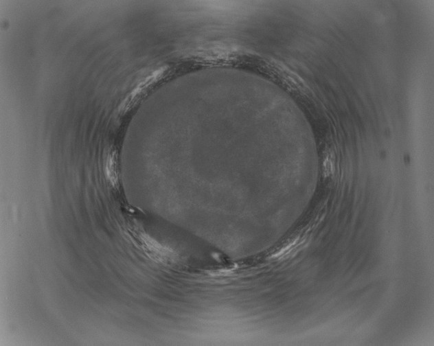 X0000069821156200606021304