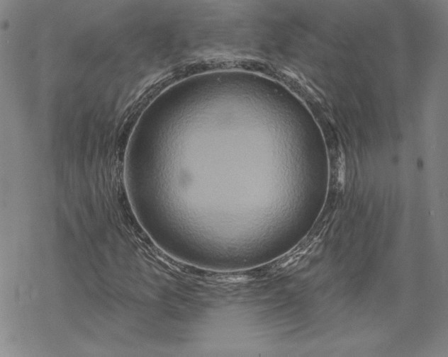 X0000069821157200606021304