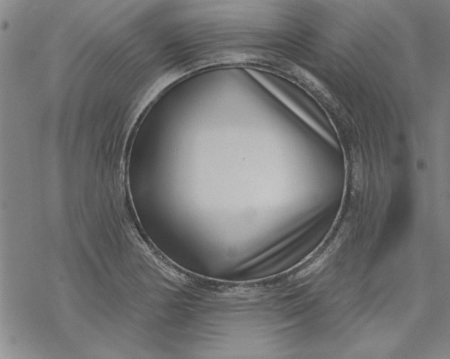 X0000069821178200606021304