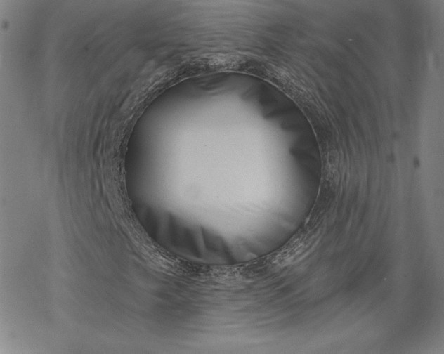 X0000069821249200606021302