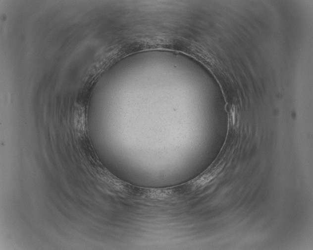X0000069821251200606021302