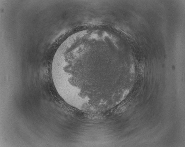 X0000069821254200606021302