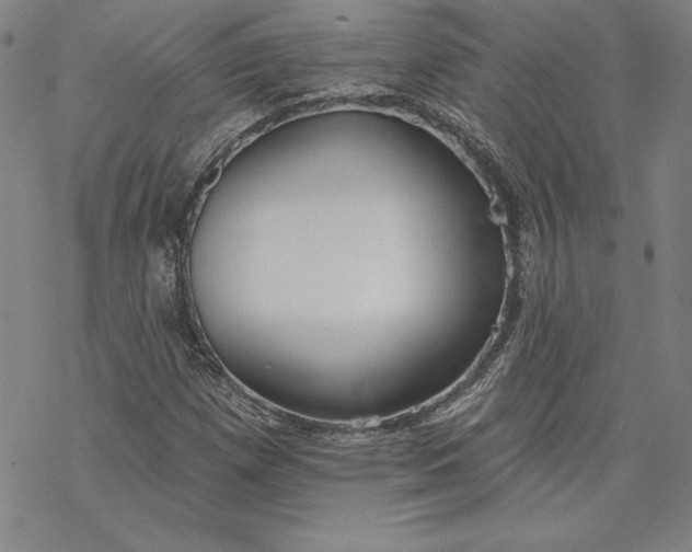 X0000069821257200606021302